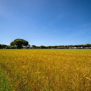  Aparthotel Bio Femminella Italia